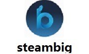 steambig2023԰ v1.0.1