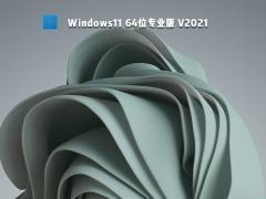 windows11°汾 v2021