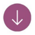 ° v2.3.1