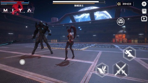 Miya1