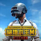 pubg̨