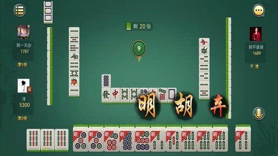 ʯׯ齫 (4)