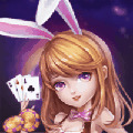 ƹ°