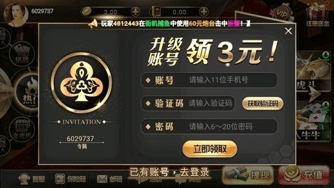 ţ (2)