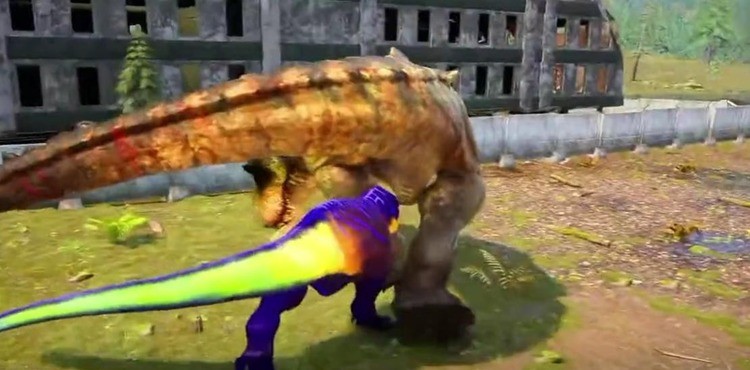  (2)