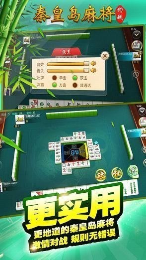ػʵ齫