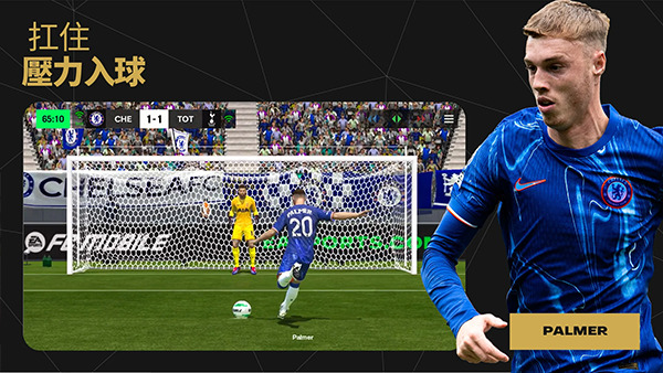 fifa (2)