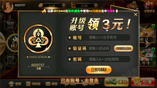 ţ (2)