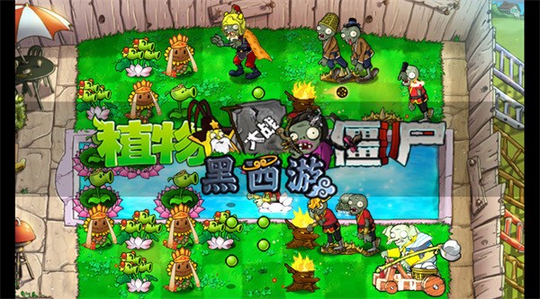 pvzΰ° (2)