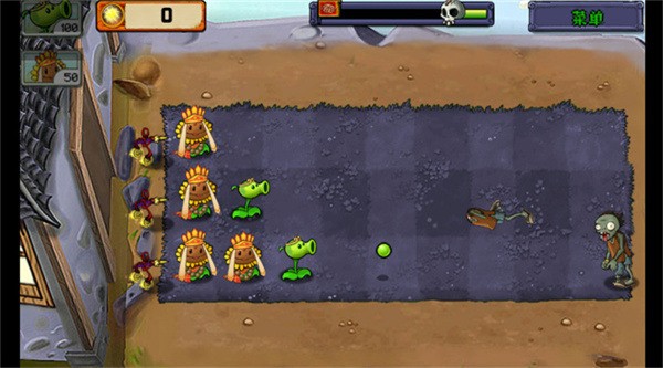 pvzΰ° (3)