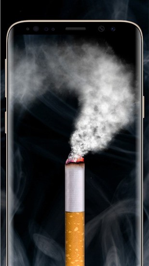 ģֻ氲׿2025