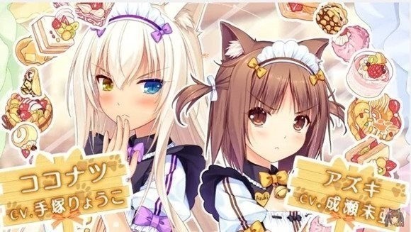 è����԰��Ϸ���� (2)