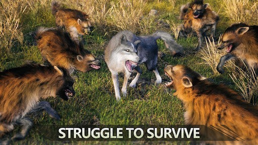 ���������������İ�����