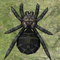 ֩��ģ�����ƽ�����ò˵�